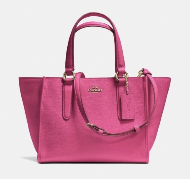 Coach MINI CROSBY CARRYALL IN LEATHER